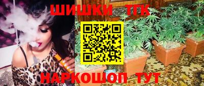 дмт Майкоп