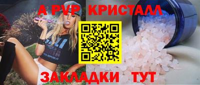 дмт Майкоп