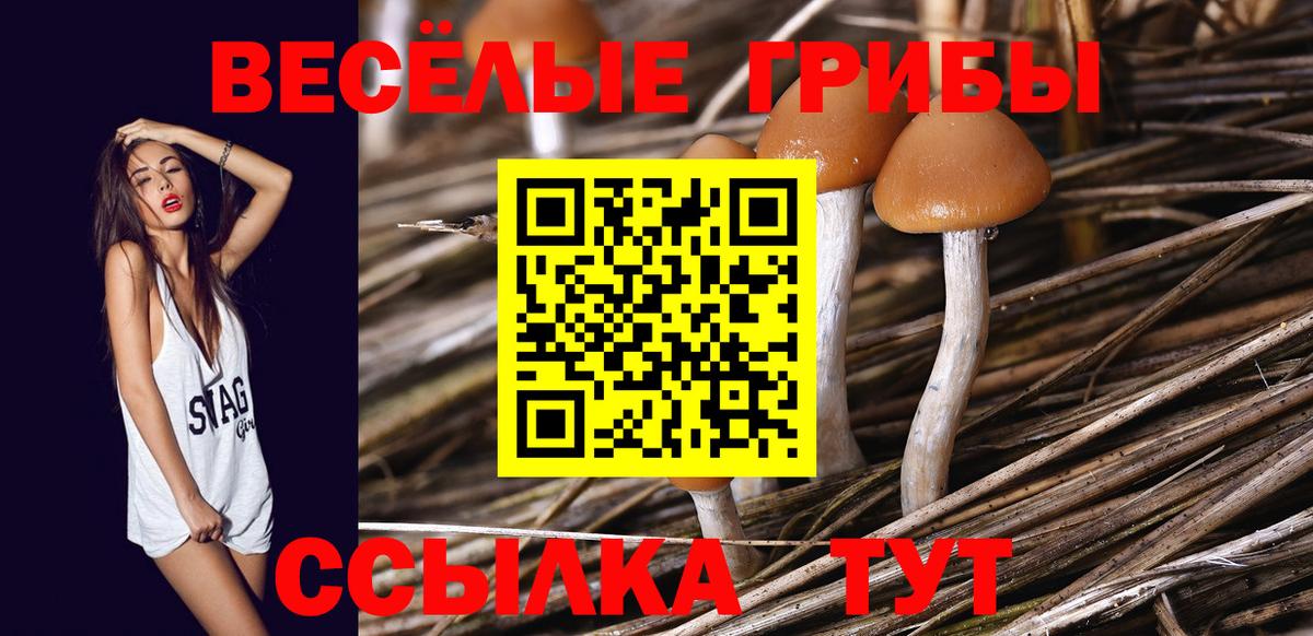 Галлюциногенные грибы ЛСД Волгоград