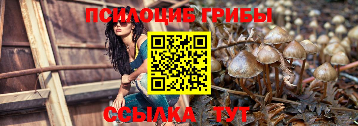 Волгоград  Псилоцибиновые грибы Magic Shrooms  Галлюциногенные грибы Psilocybine cubensis  Вход с VPN 